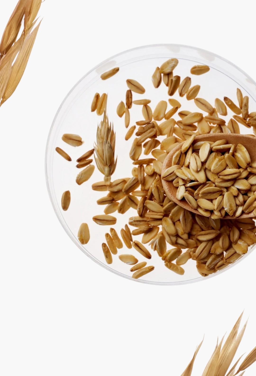 Purito Oat In Calming Gel Cream