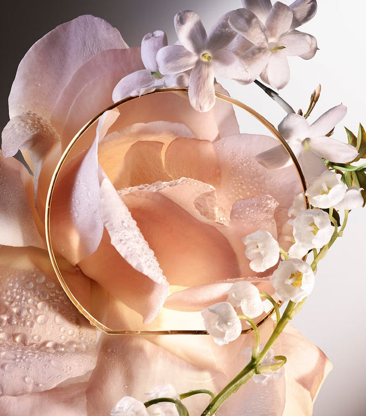 Absolue 6AM Rose Eau de Parfum - GLAM MODA