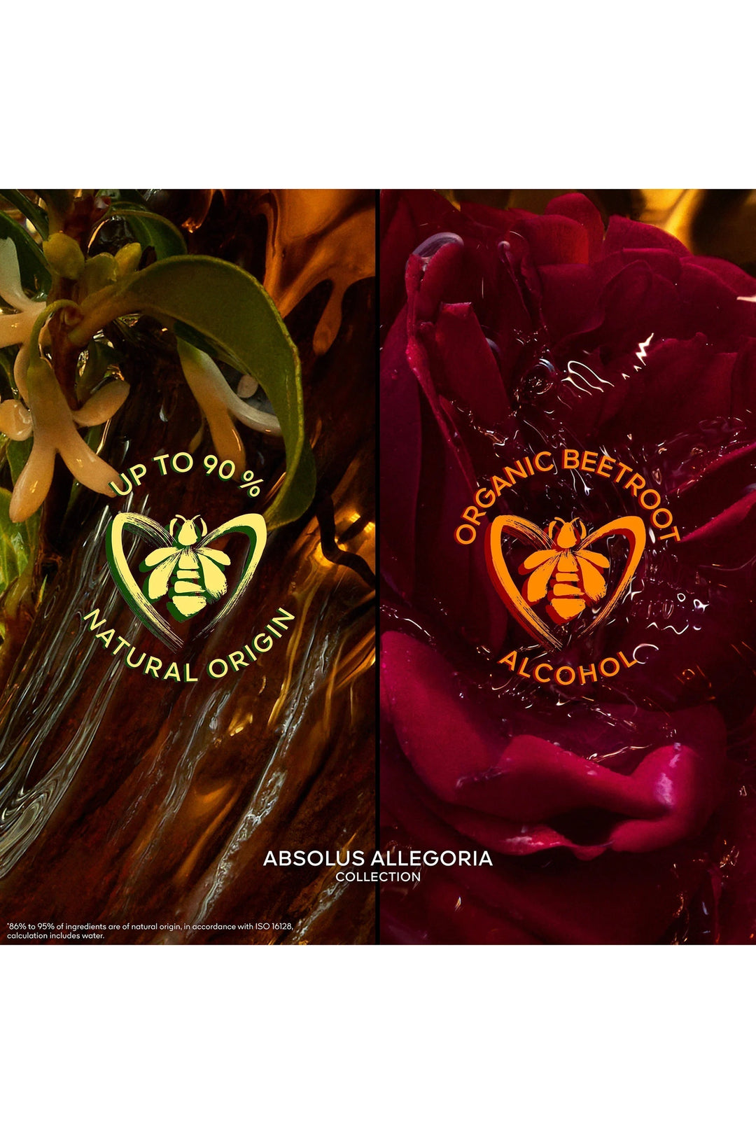 Rose Amira Eau De Parfum