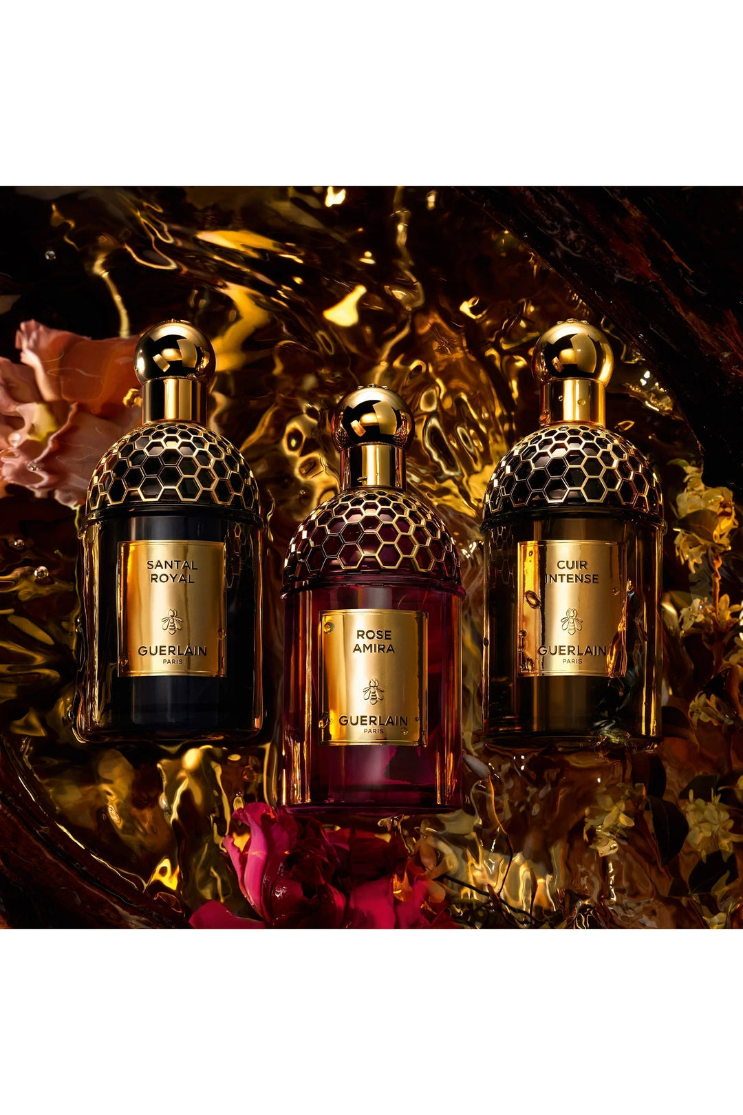 GLAM MODA collection of Guerlain Absolus Allegoria perfumes featuring Rose Amira, Santal Royal, and Cuir Intense.