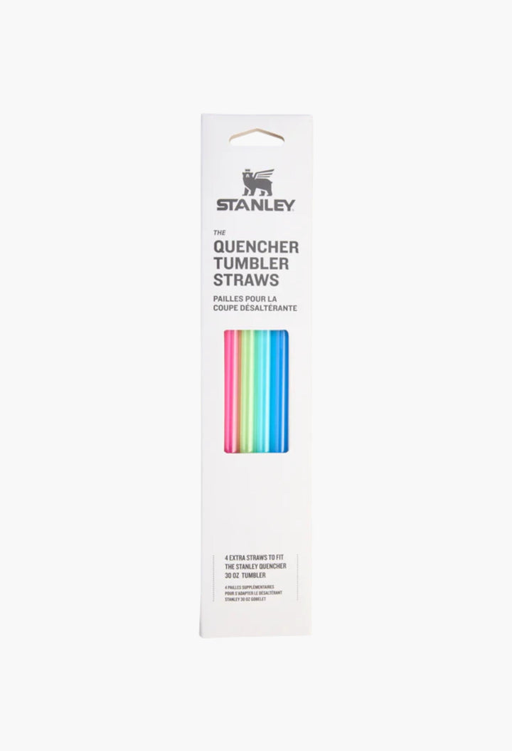 Adventure Quencher Travel Tumbler Straws | 4-Pack - GLAM MODA