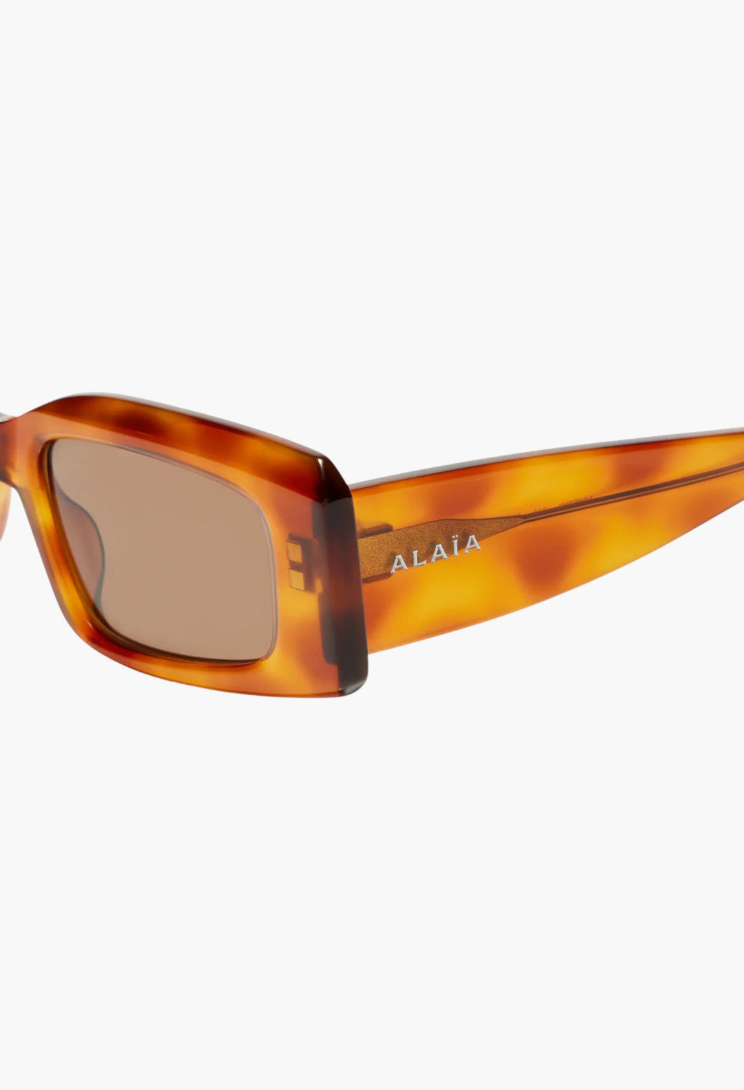 Absolu Rectangular Sunglasses - GLAM MODA