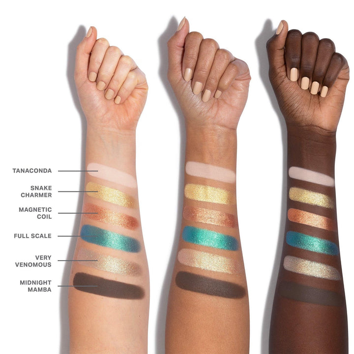 Chroma Eyeshadow Palette - Morphe Eyeshadow - GLAM MODA
