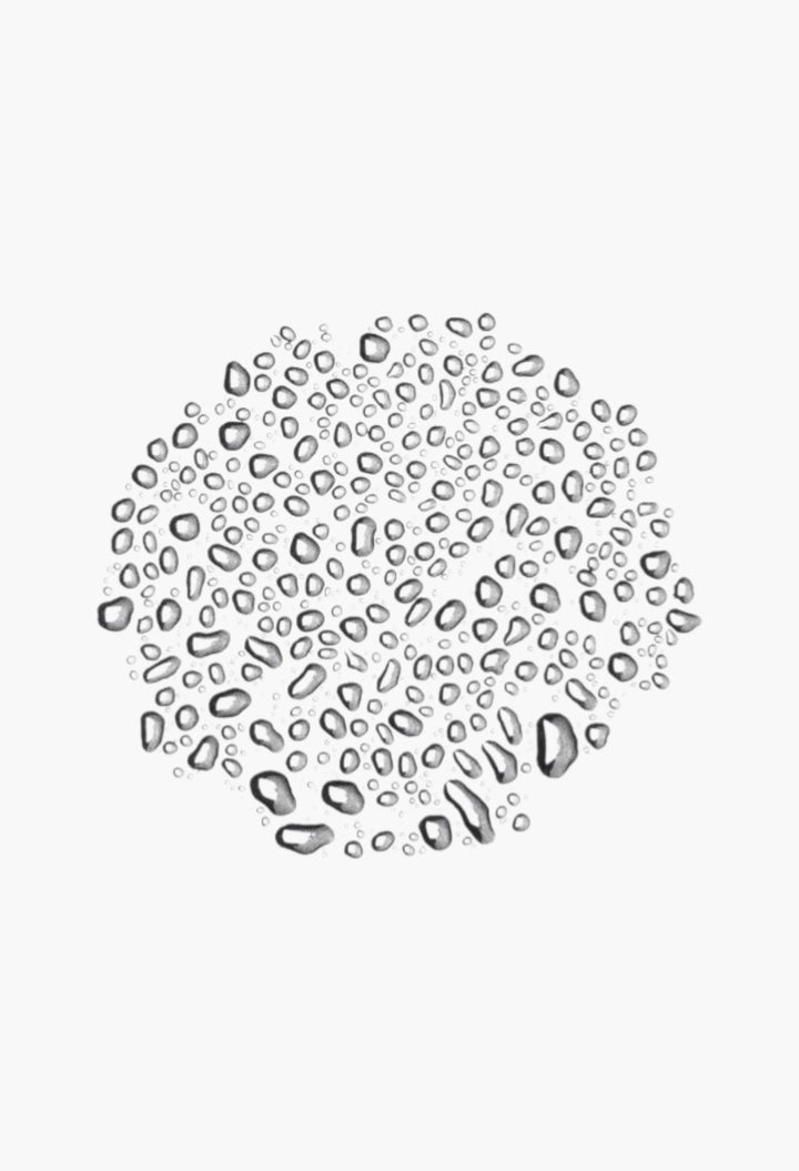 Tea Tree Water - Toner Water - GLAM MODA