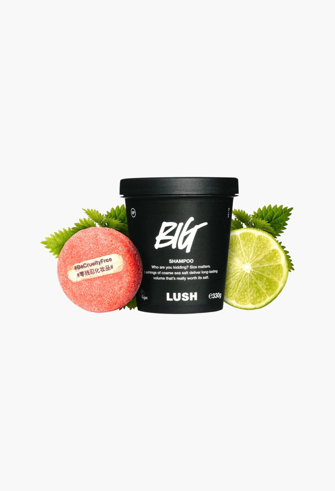 Big – Shampoo Volume And Shine For Flat Hair - GLAM MODA