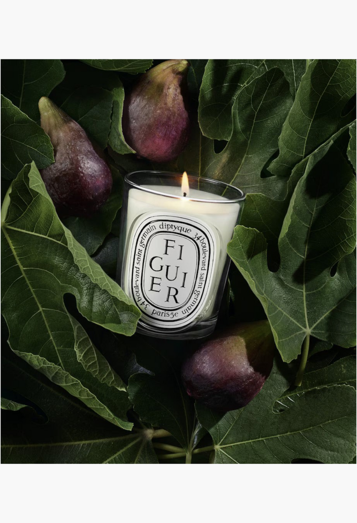 GLAM MODA Figuier candle in a glass jar surrounded by fresh fig fruits and green leaves for a Mediterranean aesthetic.