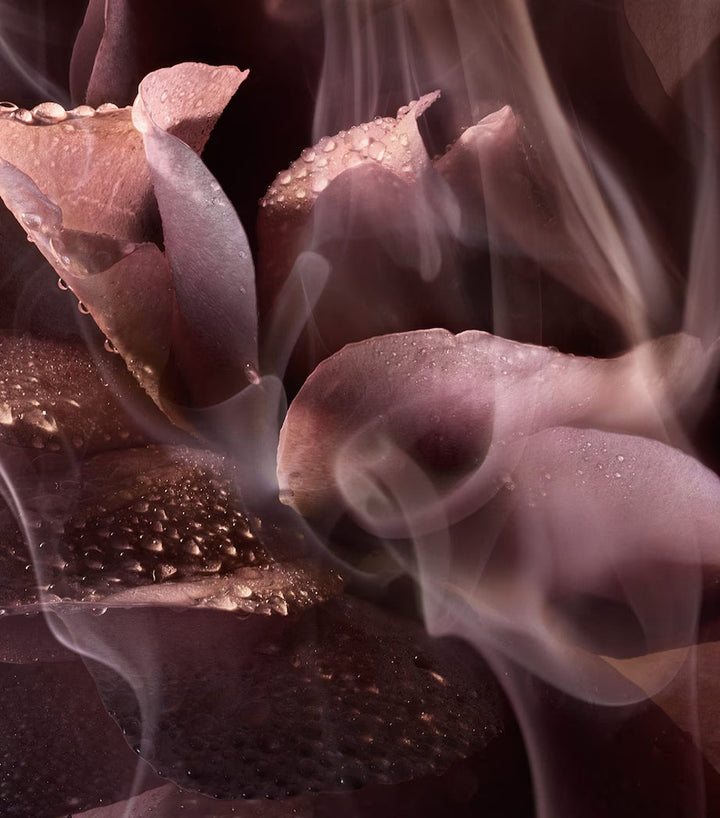Absolue Rose Or Die Eau de Parfum - GLAM MODA