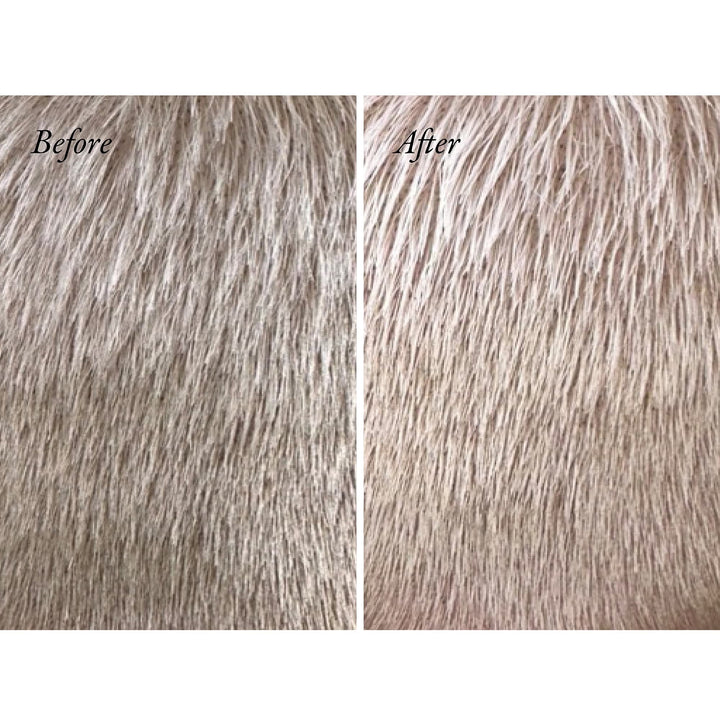 Bright Blonde Radiance & Repair Treatment 175ml - GLAM MODA