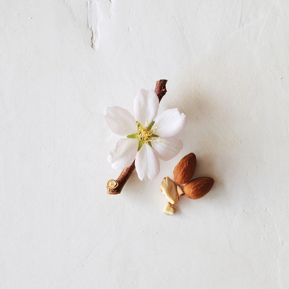 Cherry Almond Shampoo - GLAM MODA