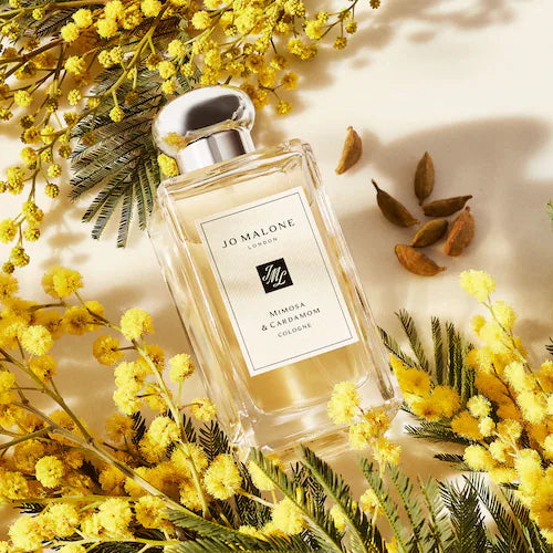 Cologne Discovery Set - GLAM MODA