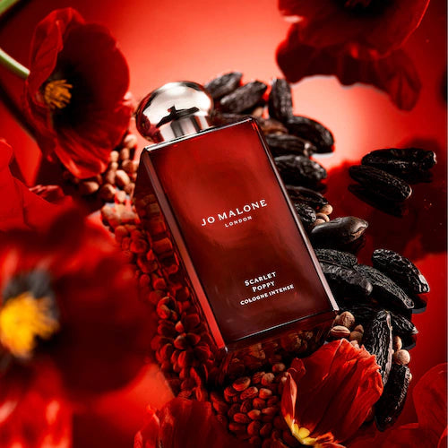 Cologne Discovery Set - GLAM MODA