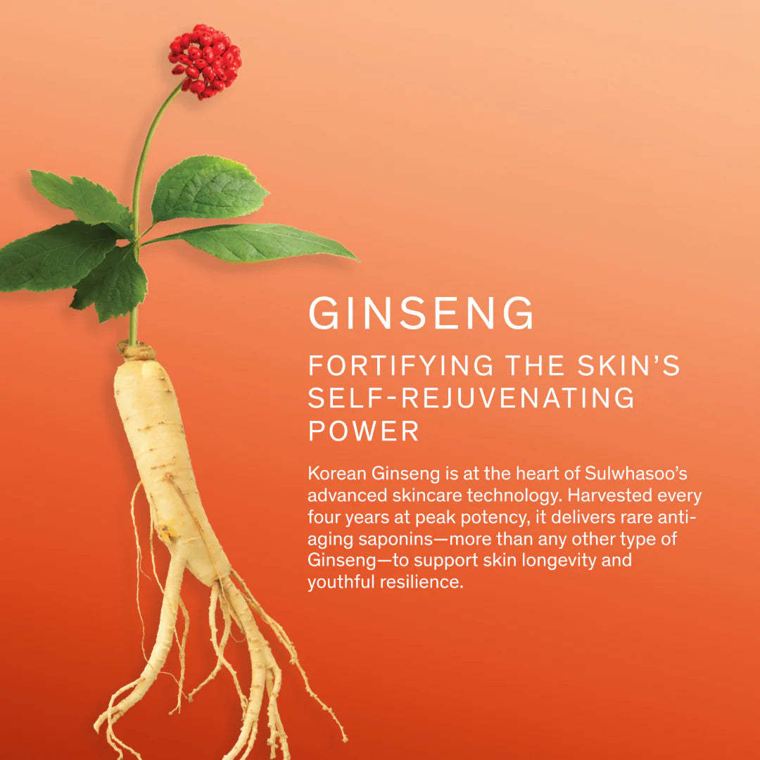 Concentrated Ginseng Rejuvenating Cream - Visibly Plump Skin & Reduce Wrinkles - GLAM MODA