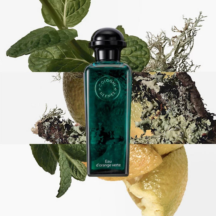 Concentre D'orange Verte EDT For Her - 100 ml - GLAM MODA