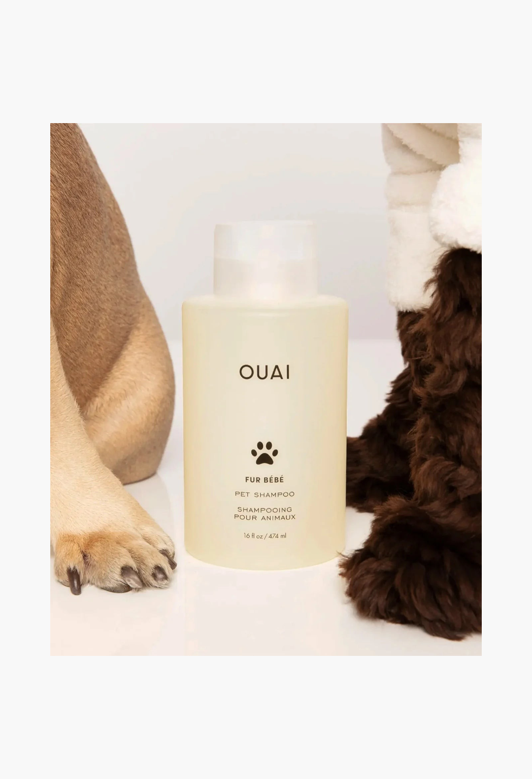 GLAM MODA Fur Bébé gentle pet shampoo bottle next to a dog paw, designed to cleanse and hydrate cat and dog coats.