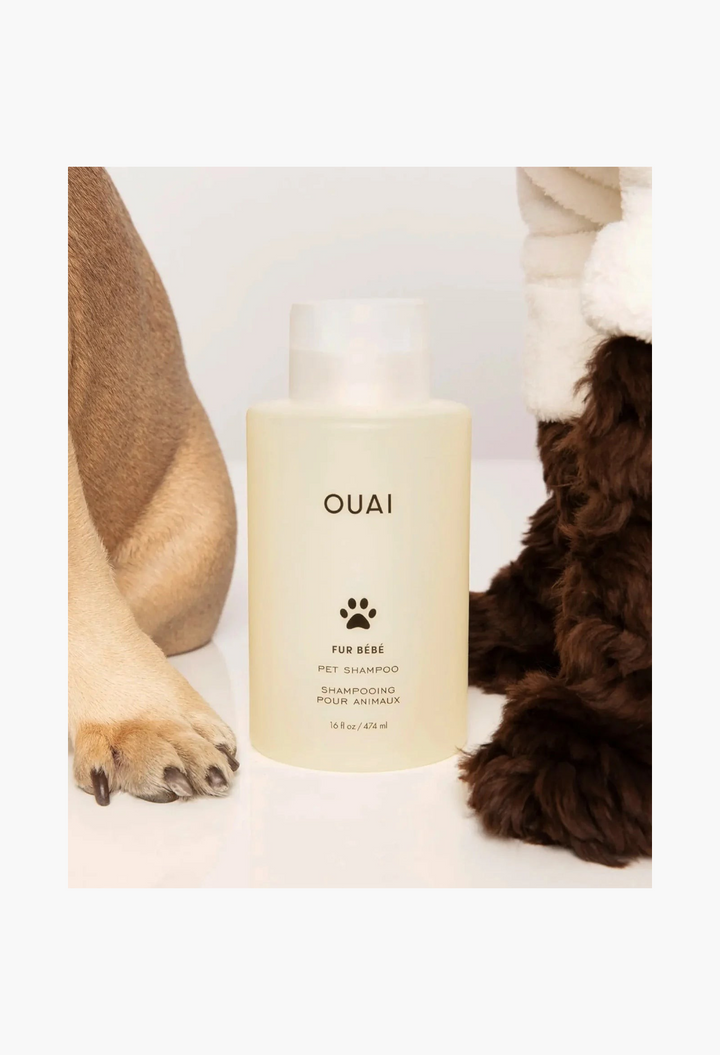 GLAM MODA Fur Bébé gentle pet shampoo bottle next to a dog paw, designed to cleanse and hydrate cat and dog coats.