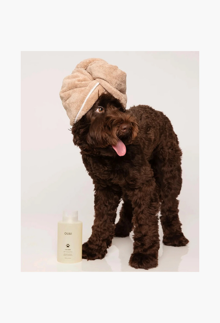 GLAM MODA Fur Bébé gentle pet shampoo bottle next to a cute brown dog wearing a beige towel wrap on its head
