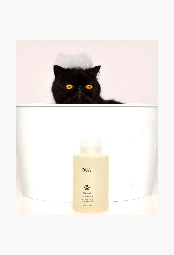 GLAM MODA Fur Bébé gentle pet shampoo bottle in front of a black cat with foam on its head in a white tub