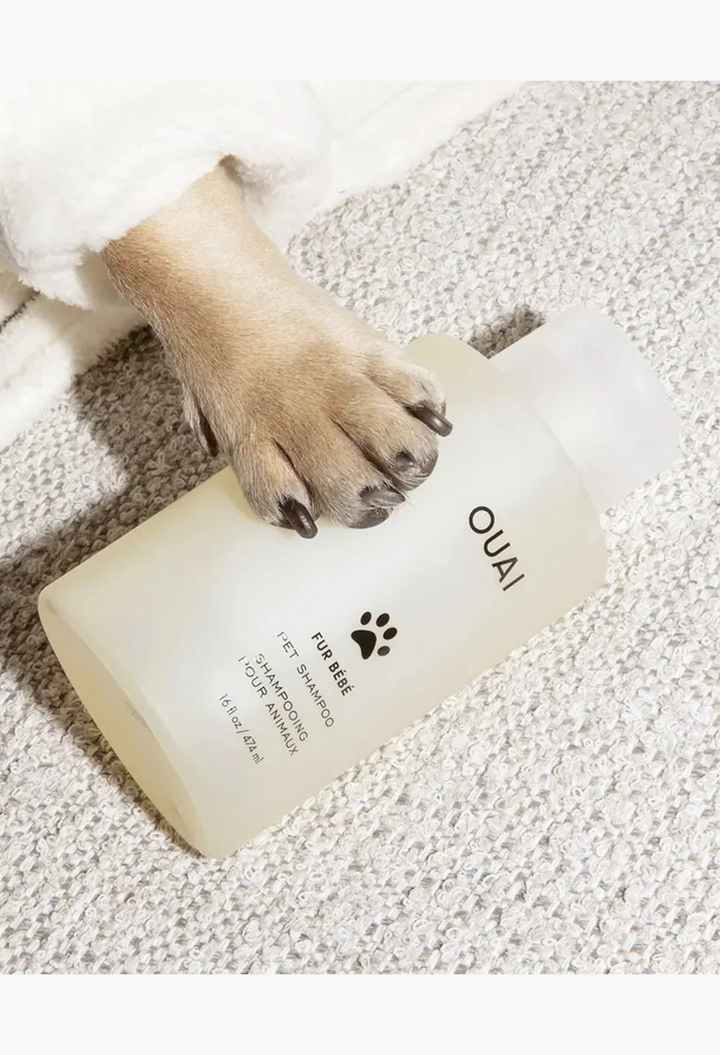 GLAM MODA Fur Bébé gentle pet shampoo bottle held by a dog paw, featuring a translucent container for cats and dogs.