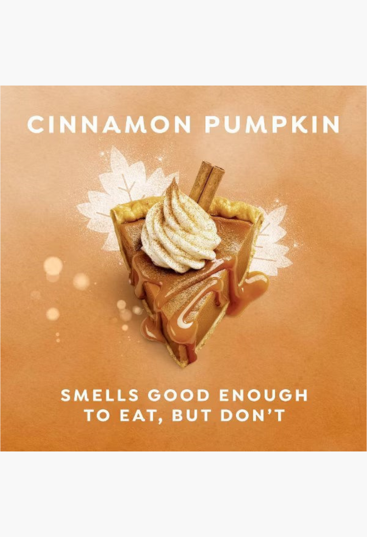 GLAM MODA Dove Cinnamon Pumpkin Pie body wash featuring a slice of pumpkin pie with whipped cream and cinnamon sticks.