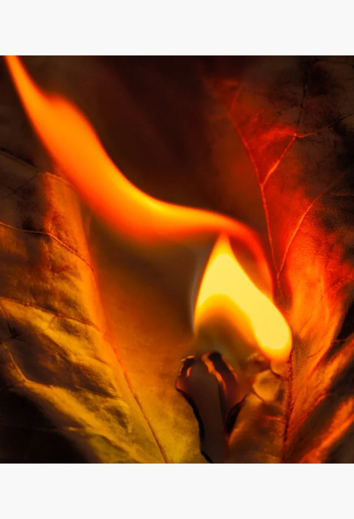 Tobacco Carnaval Extrait de Parfum
