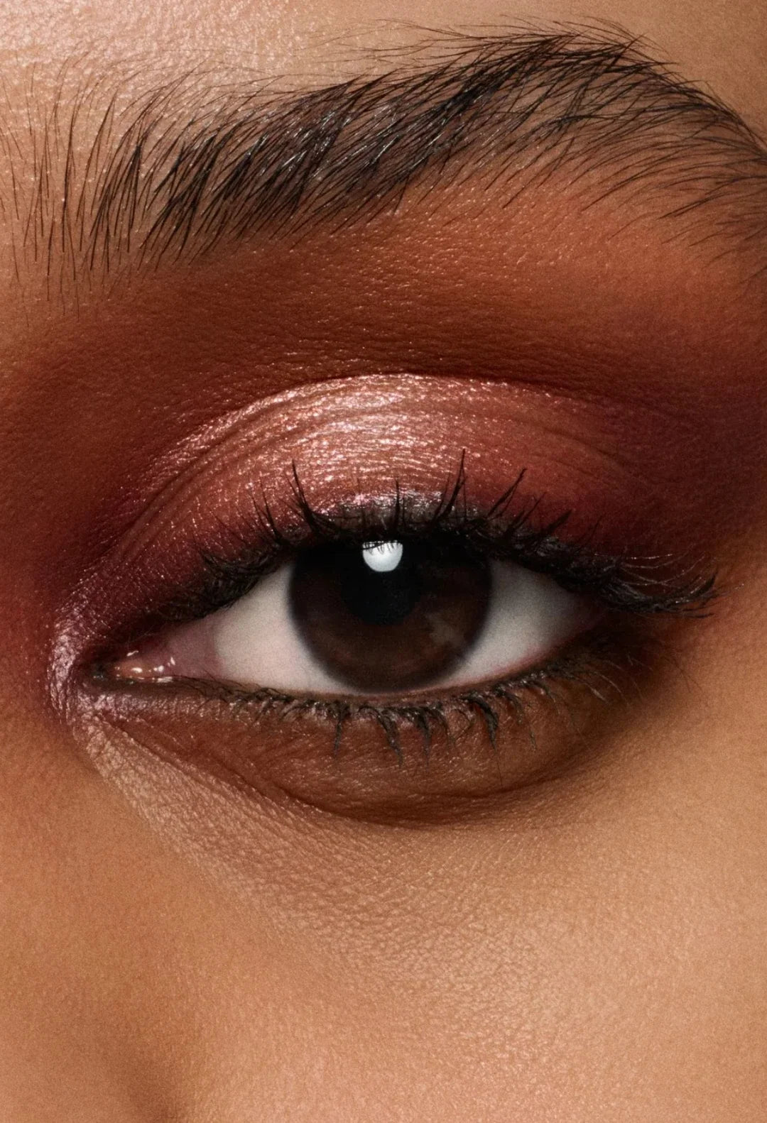 Eye Shadow Palette x4 / Sepia Collection