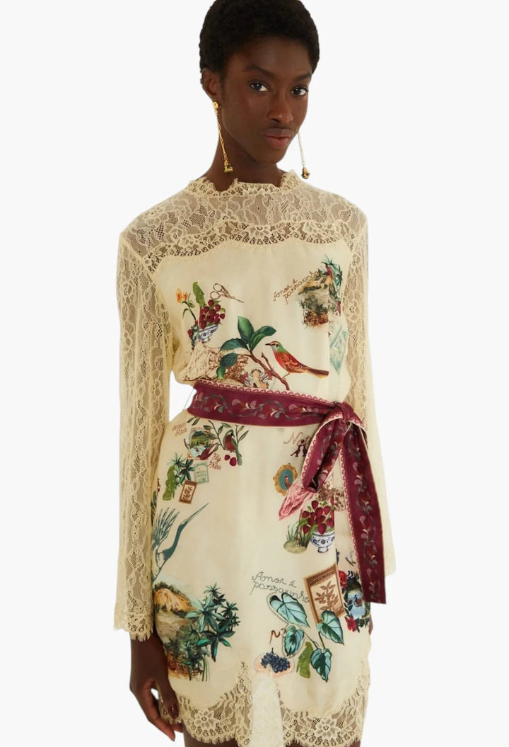 bird poetry lace long sleeve mini dress