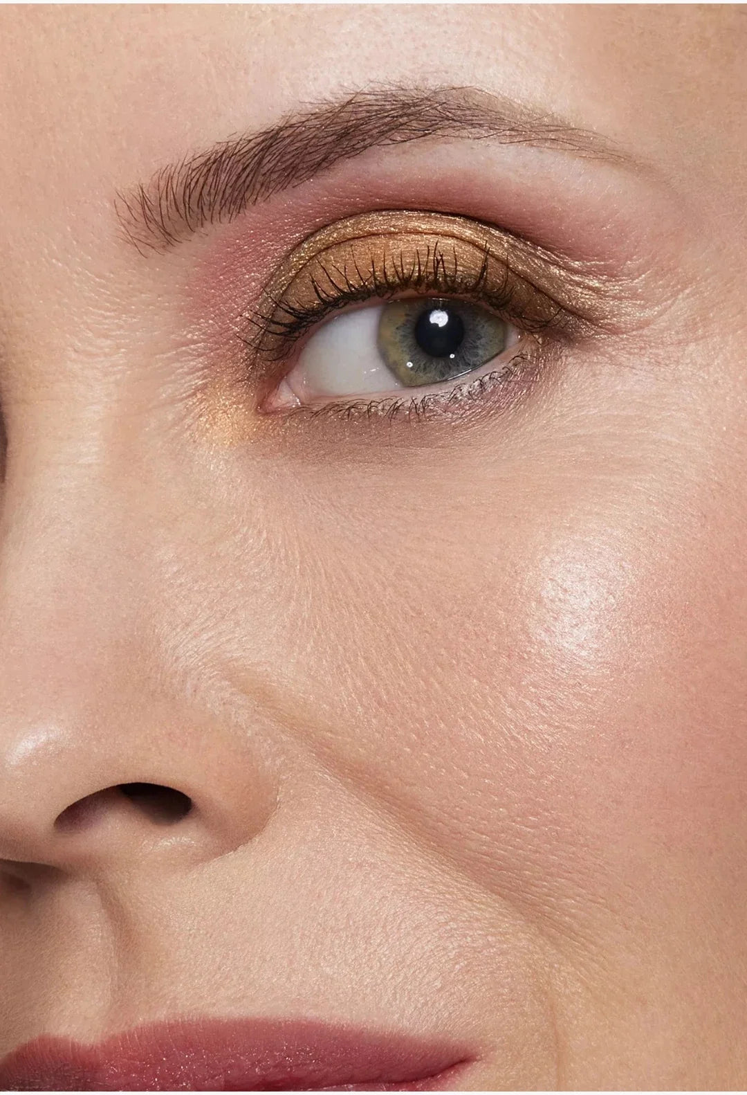 Limited-Edition Adventurous Palette