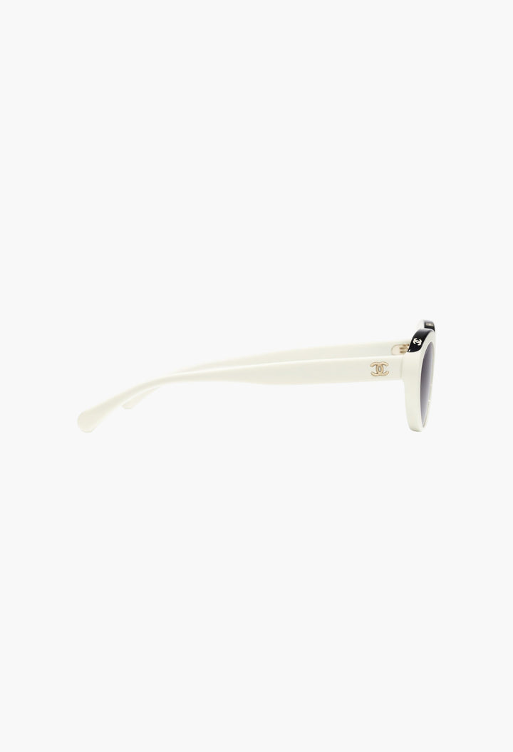 Oval Sunglasses - 1763S6 - GLAM MODA