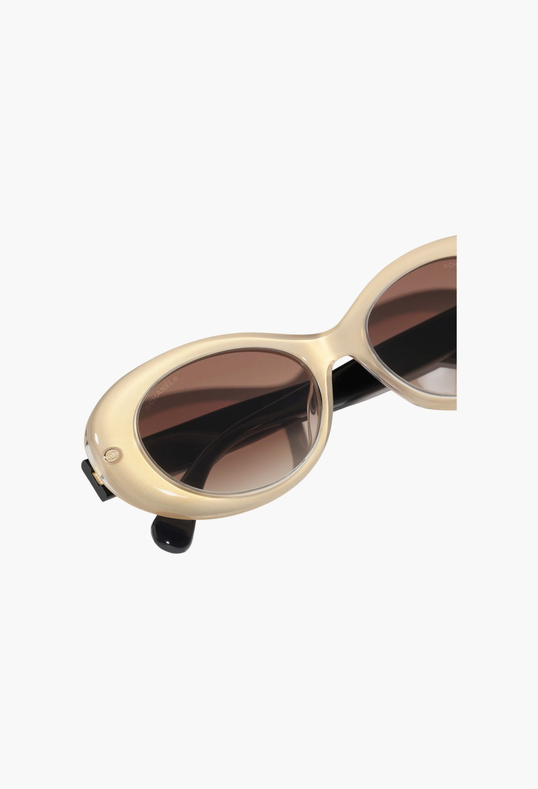 Oval Sunglasses - GLAM MODA