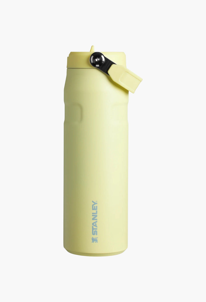 The IceFlow™ Bottle with Flip Straw Lid | 24 OZ - GLAM MODA