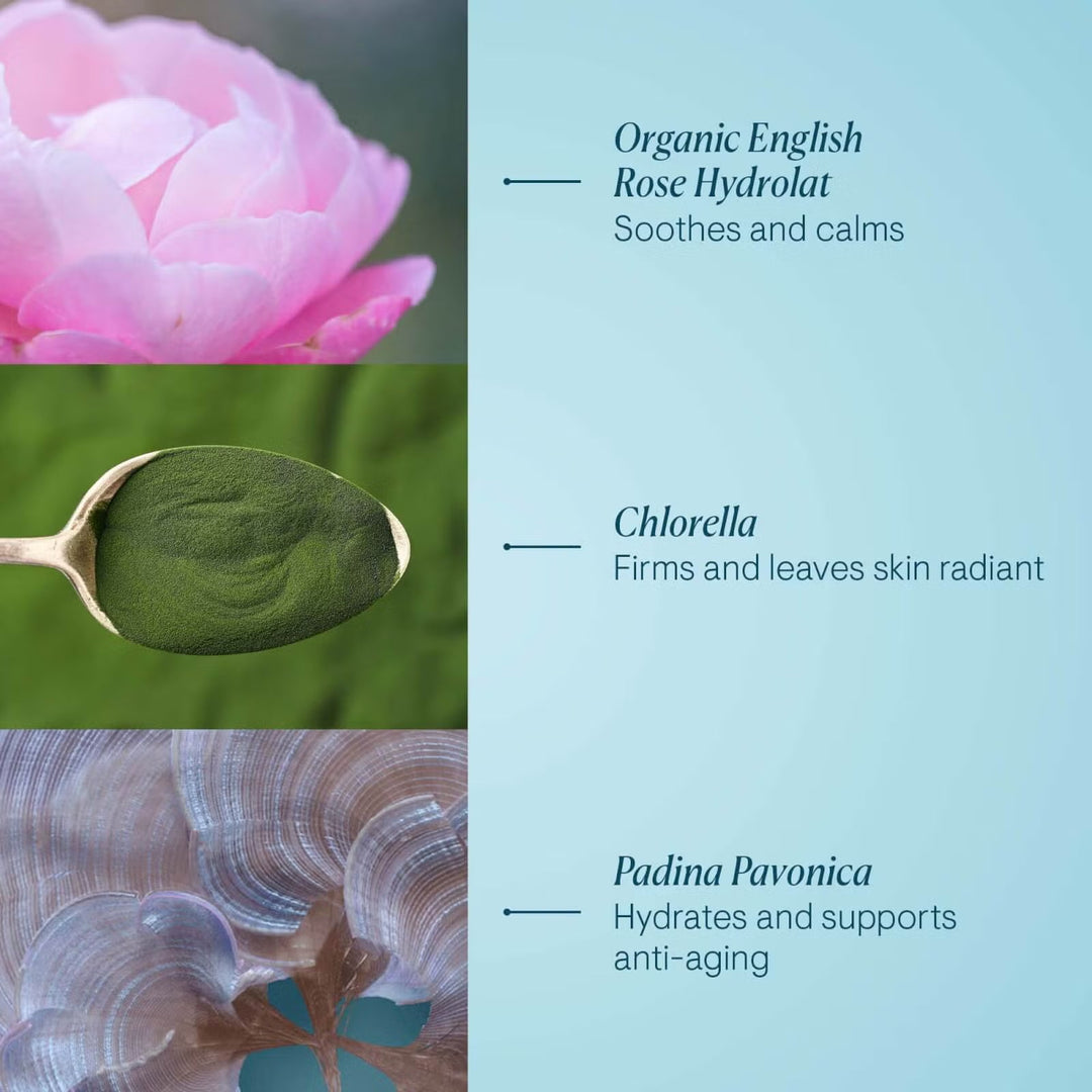 Pro-Collagen Rose Marine Cream 50ml - GLAM MODA