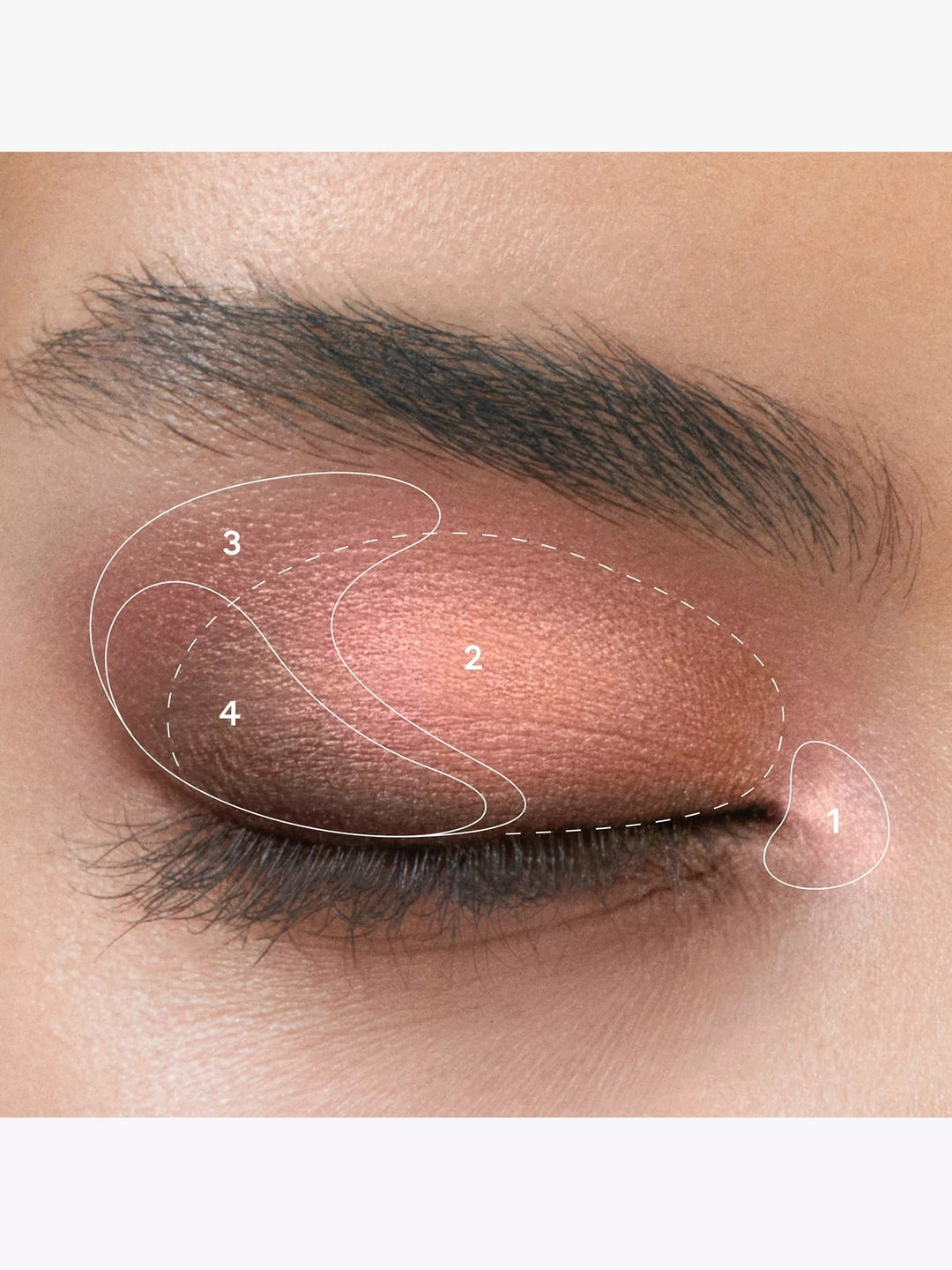 Eye Quad Eyeshadow Palette 4.7g - GLAM MODA