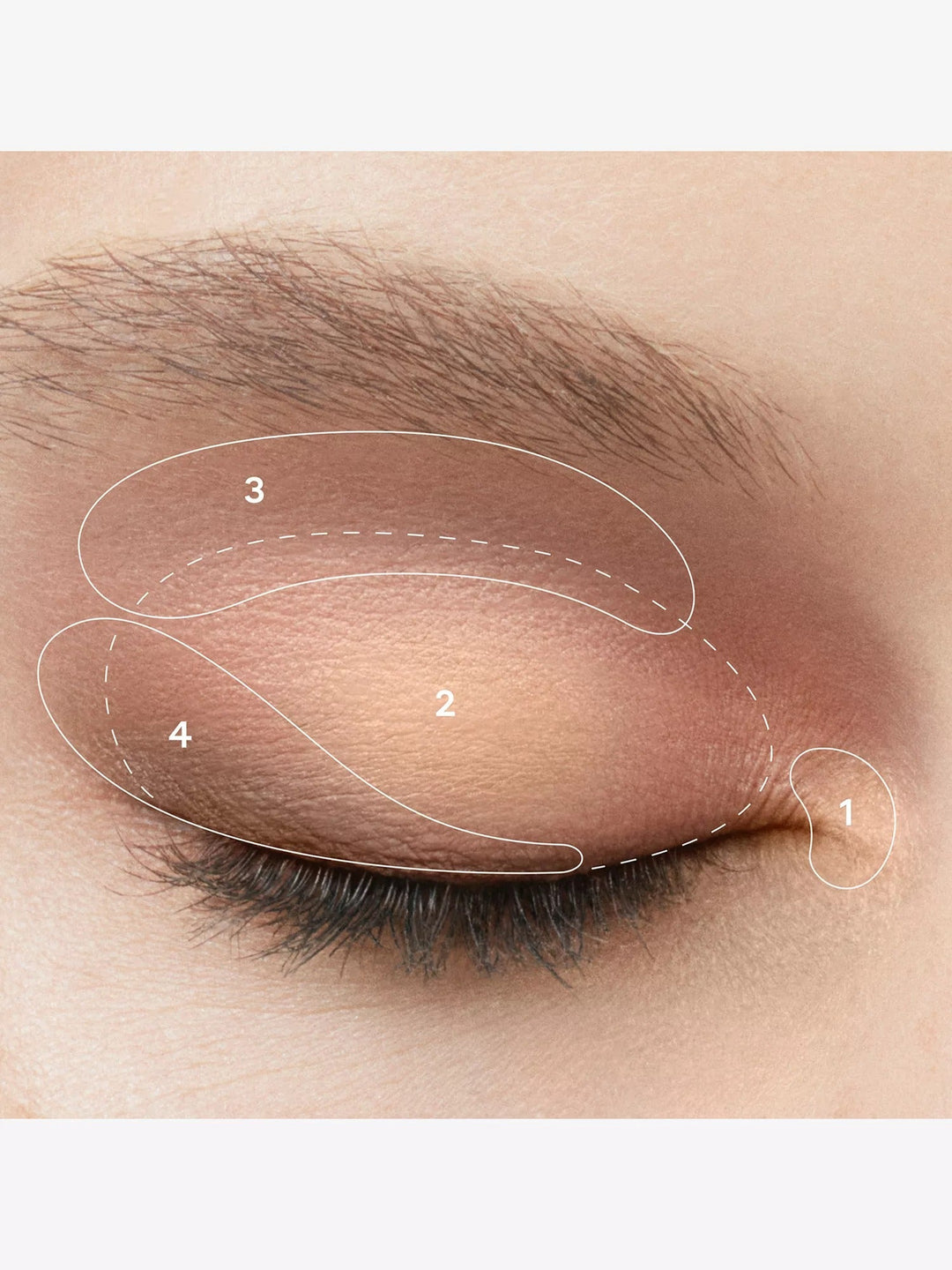 Eye Quad Eyeshadow Palette 4.7g - GLAM MODA