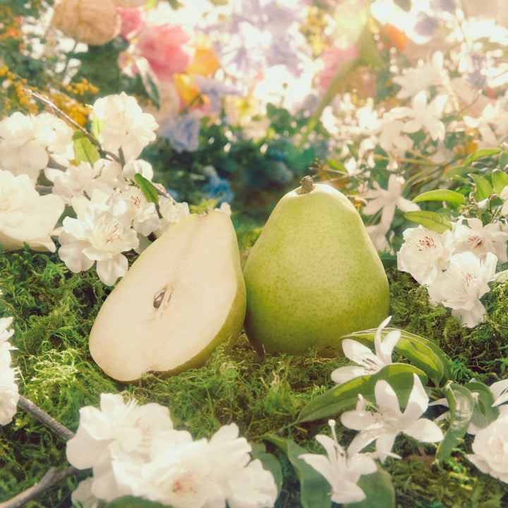 The Alchemist's Garden Tears from the Moon - Eau de Parfum - GLAM MODA