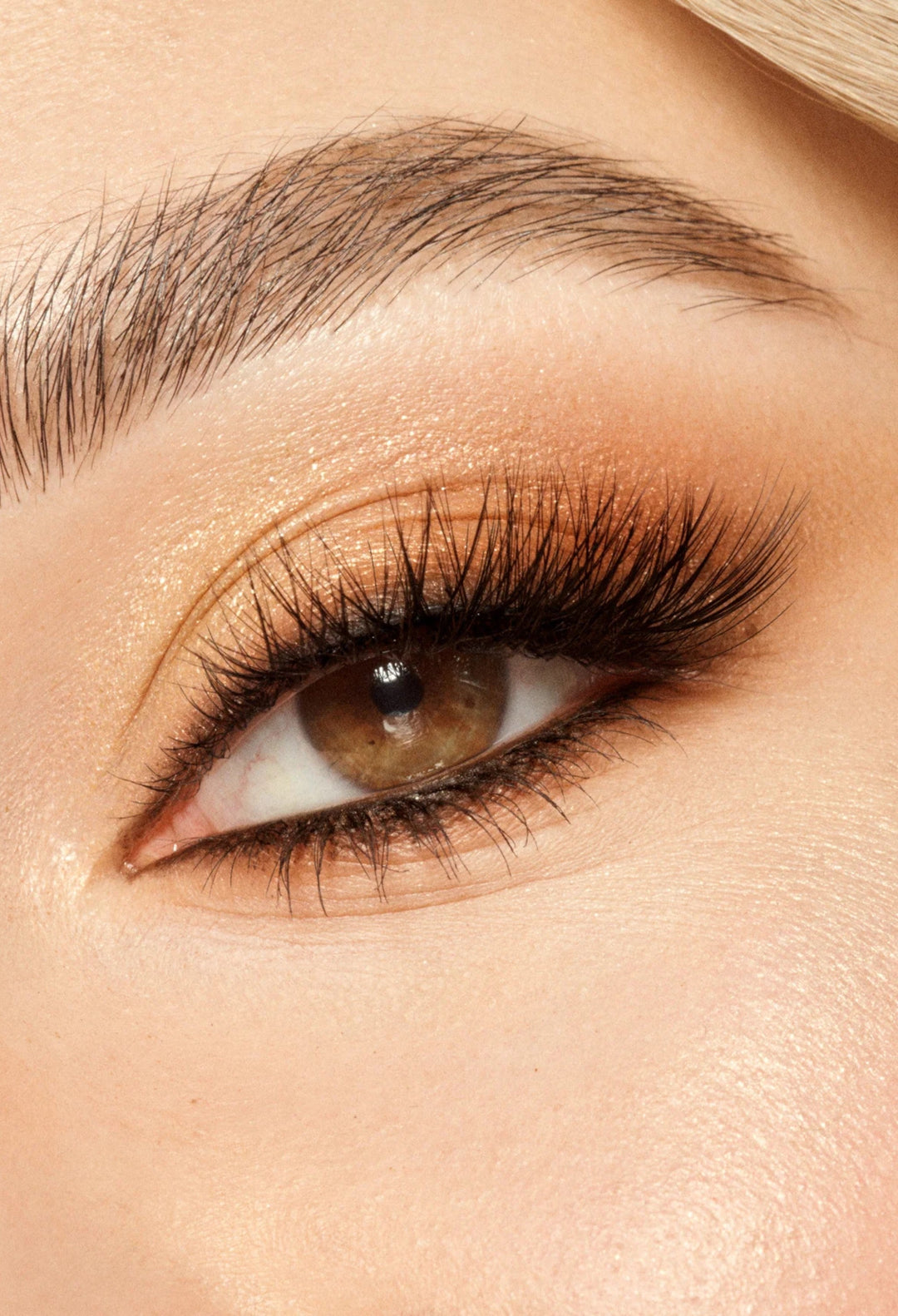 Viewve Eyeshadow Palette - Eyeshadow Palette - GLAM MODA