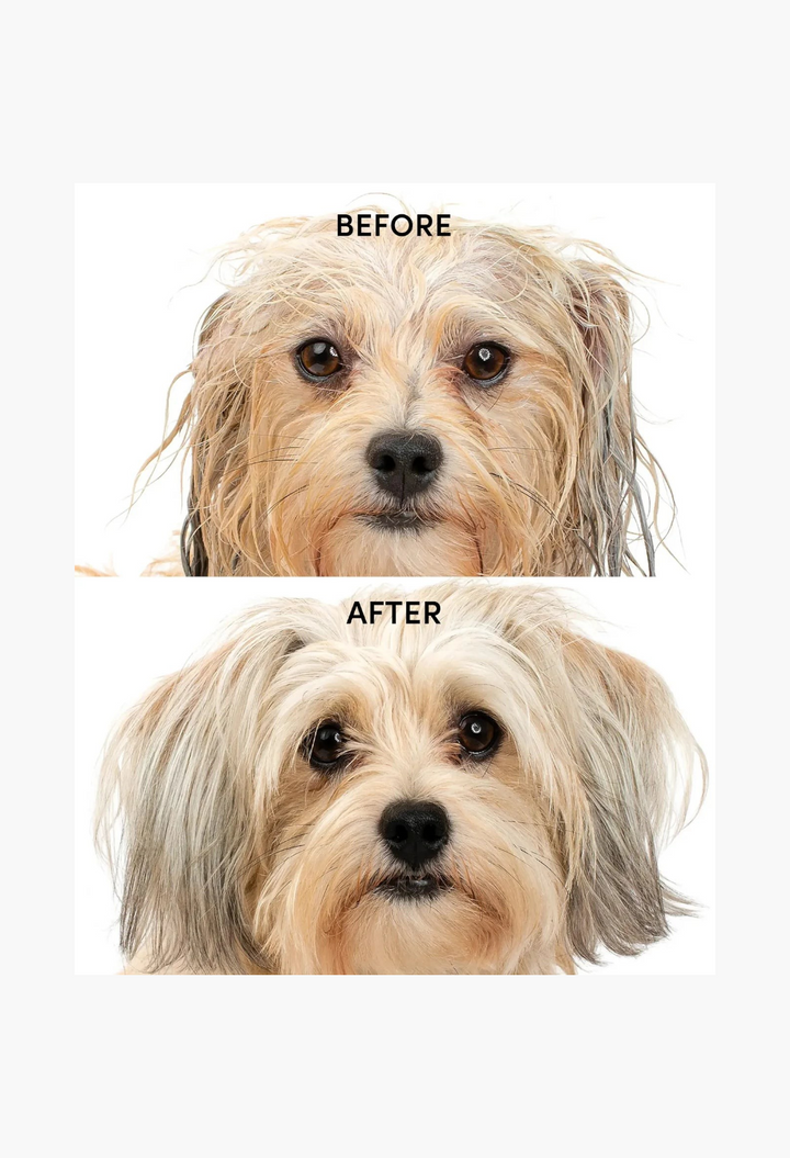 GLAM MODA Fur Bébé pet shampoo before and after comparison showing a dog with clean, soft, and shiny fur.