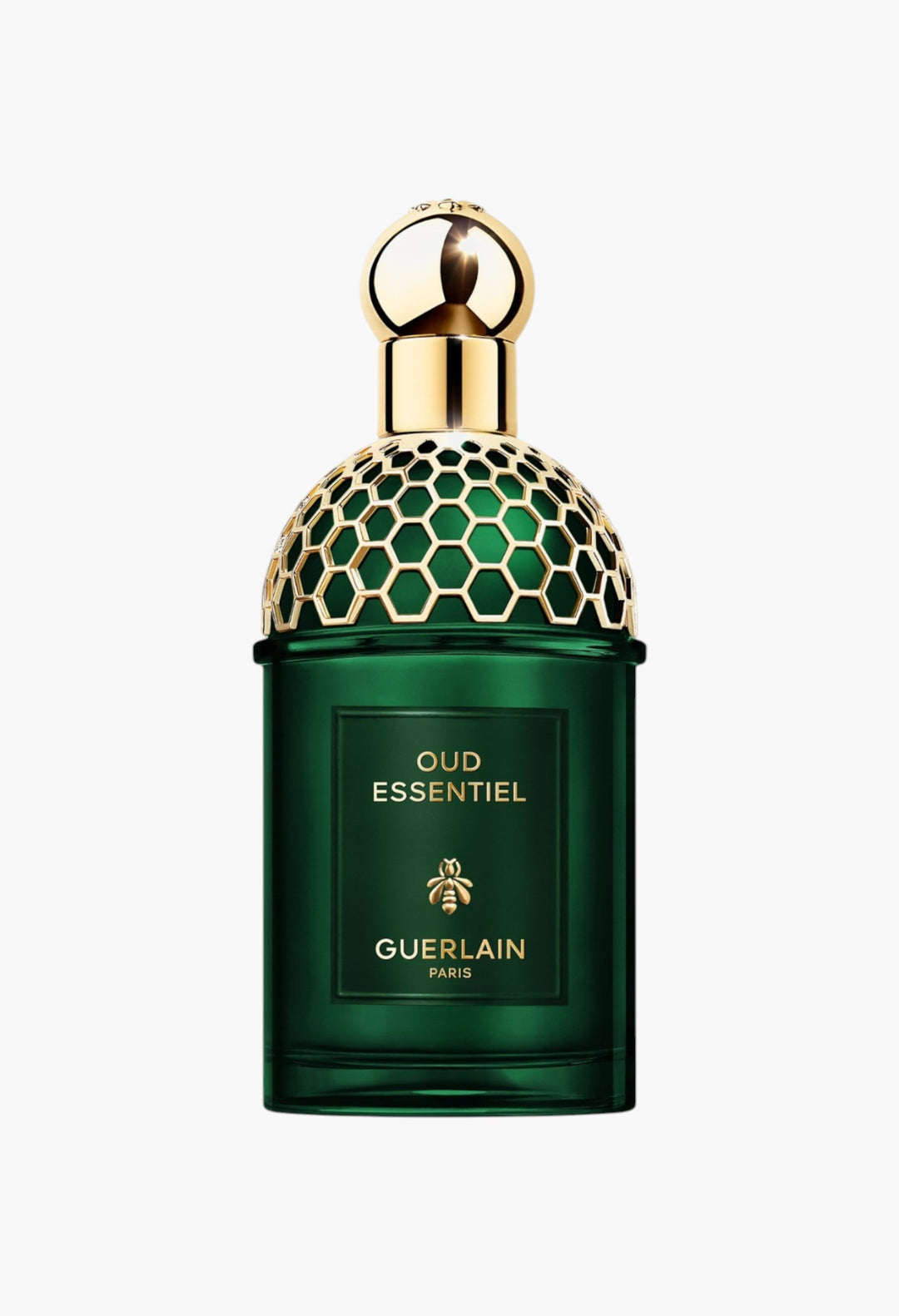 Absolus Allegoria  Oud Essential - Eau De Parfum - GLAM MODA