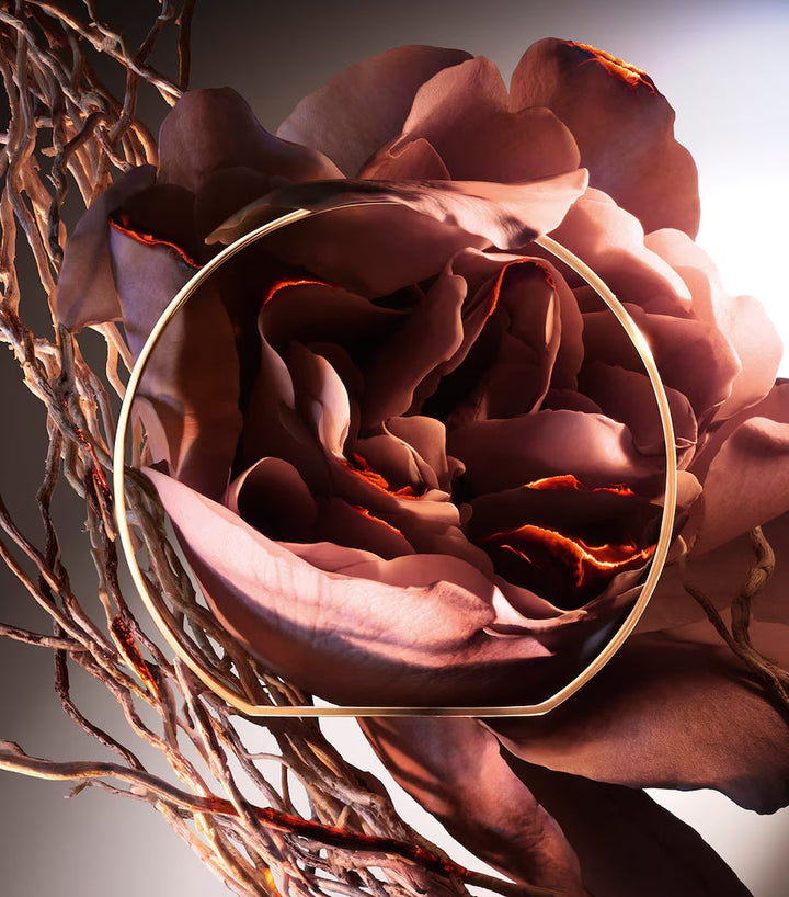 Absolue Hell Of A Rose Eau de Parfum - GLAM MODA