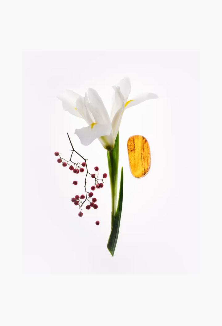 GLAM MODA moisturizing hand cream ingredients featuring a white iris flower, red berries, and a piece of amber.