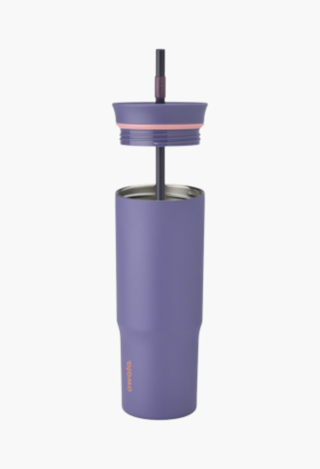 Blue Jay - Tumbler - GLAM MODA