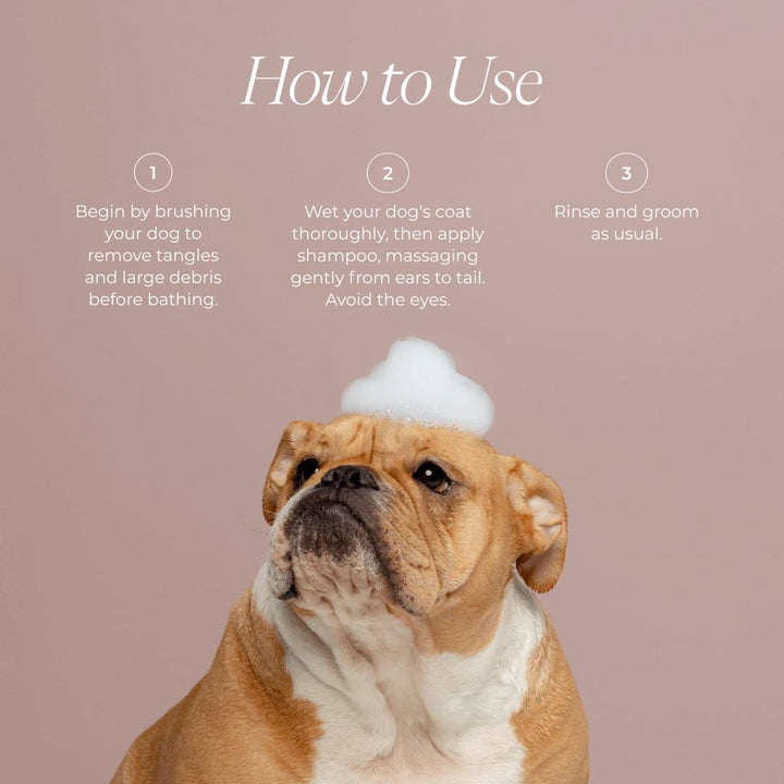 Puppy Love Dog Shampoo - GLAM MODA