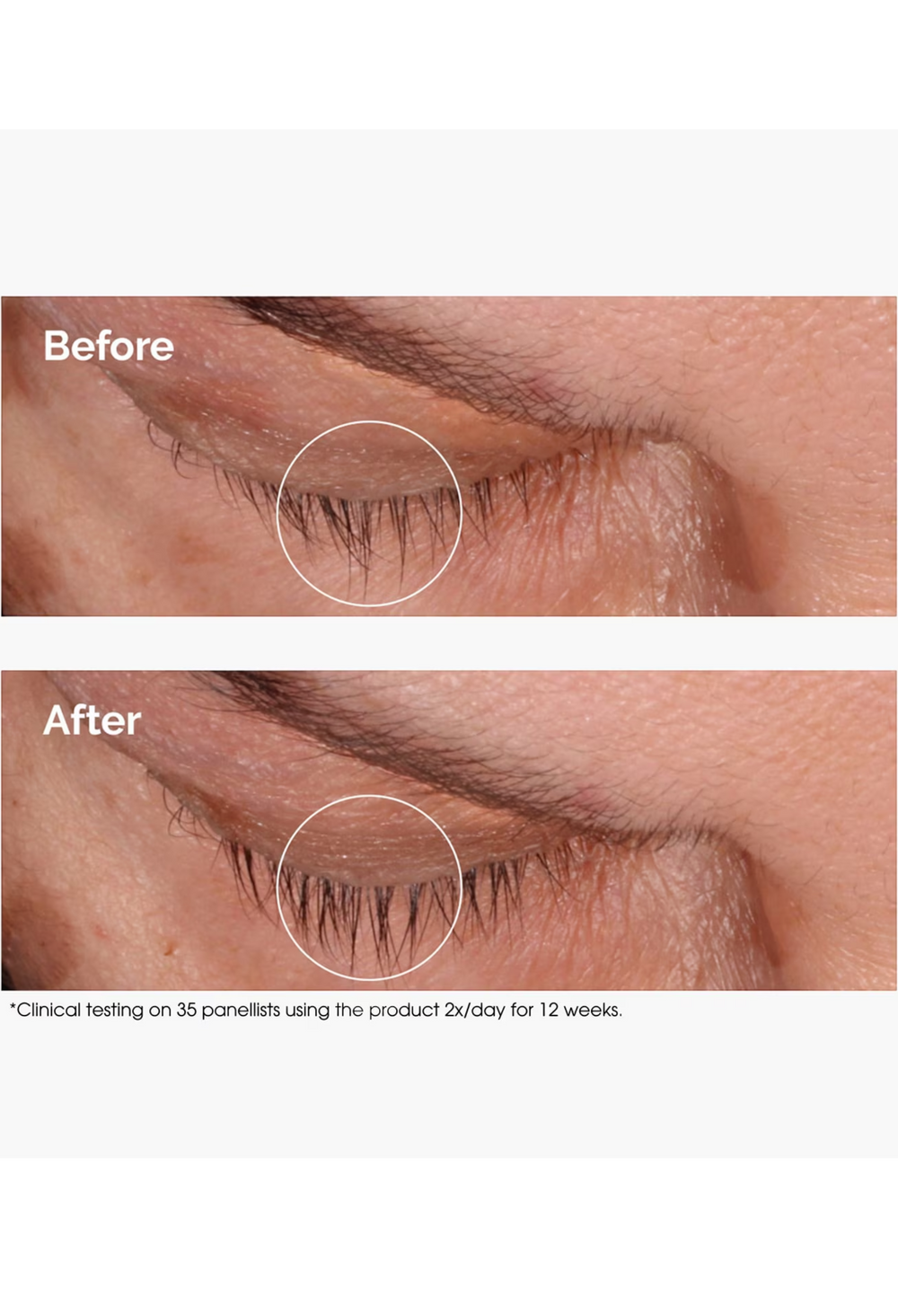 Multi-Peptide Lash and Brow Serum - GLAM MODA