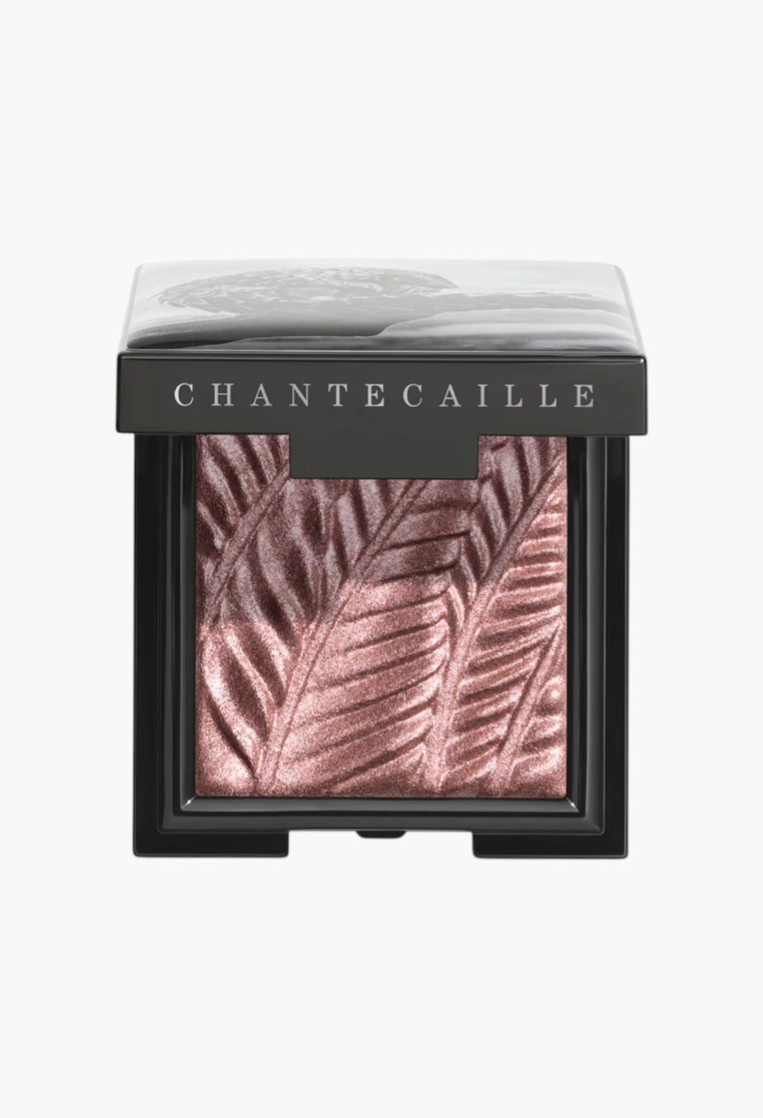 Luminescent Eye Shades - GLAM MODA