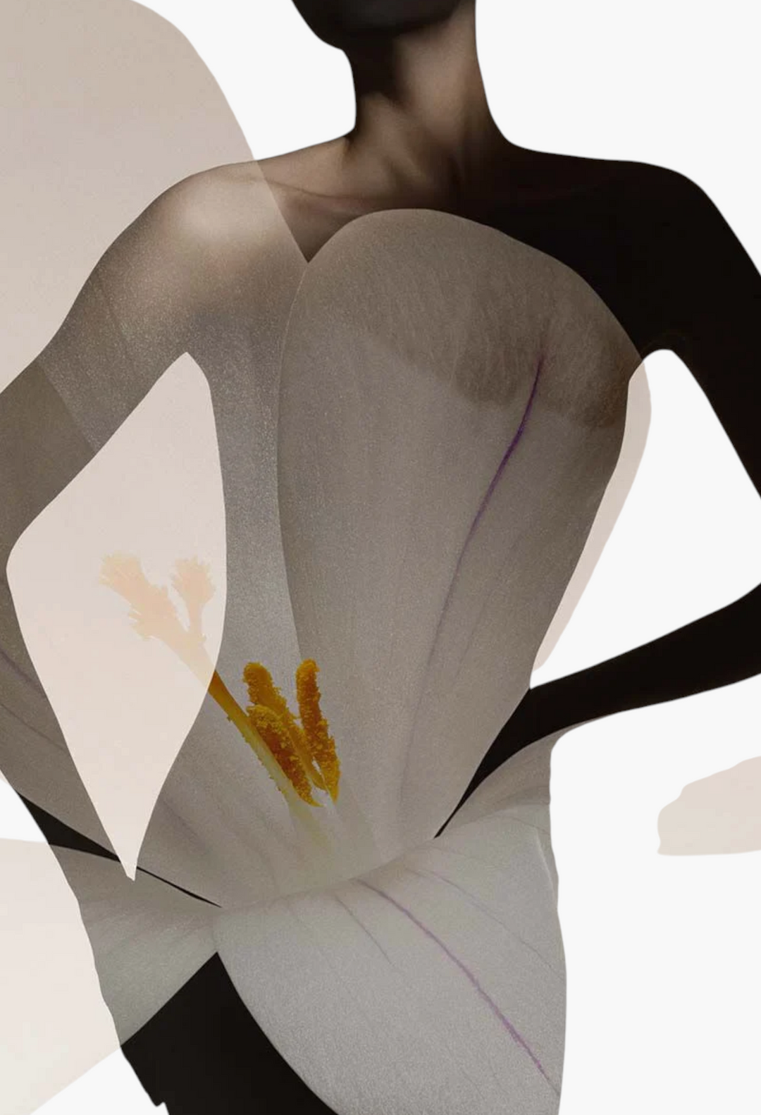 Armani Privé Oud Nacré Eau de Parfum - GLAM MODA