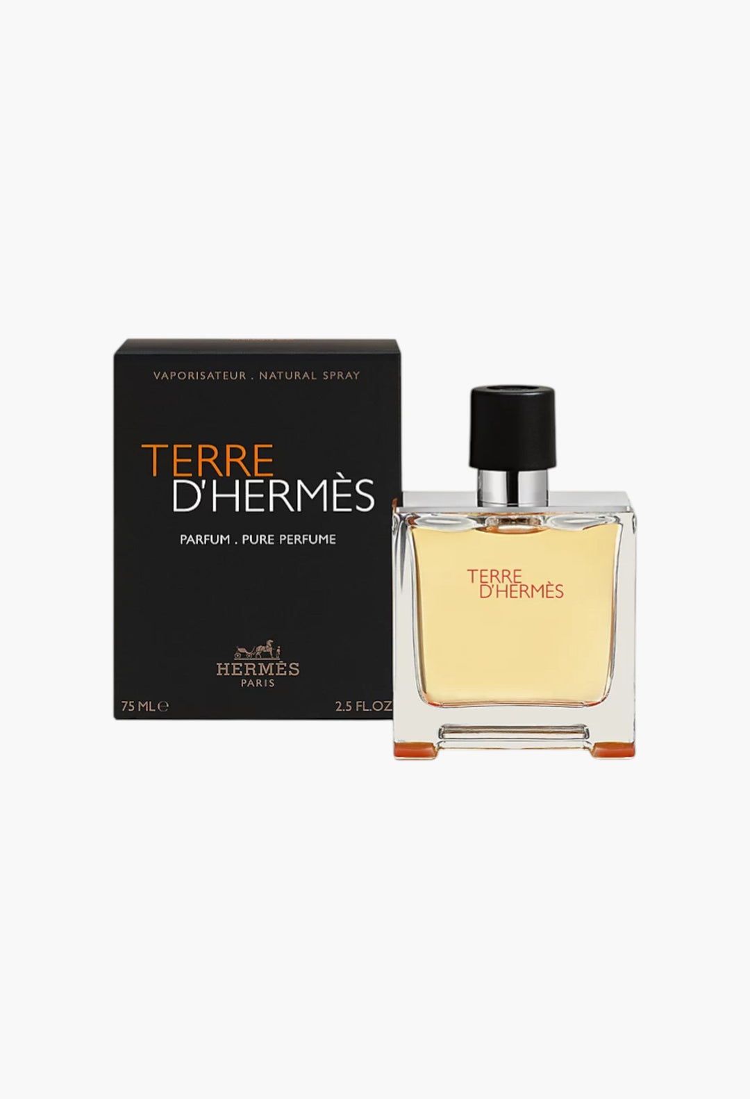 Terre D - GLAM MODA