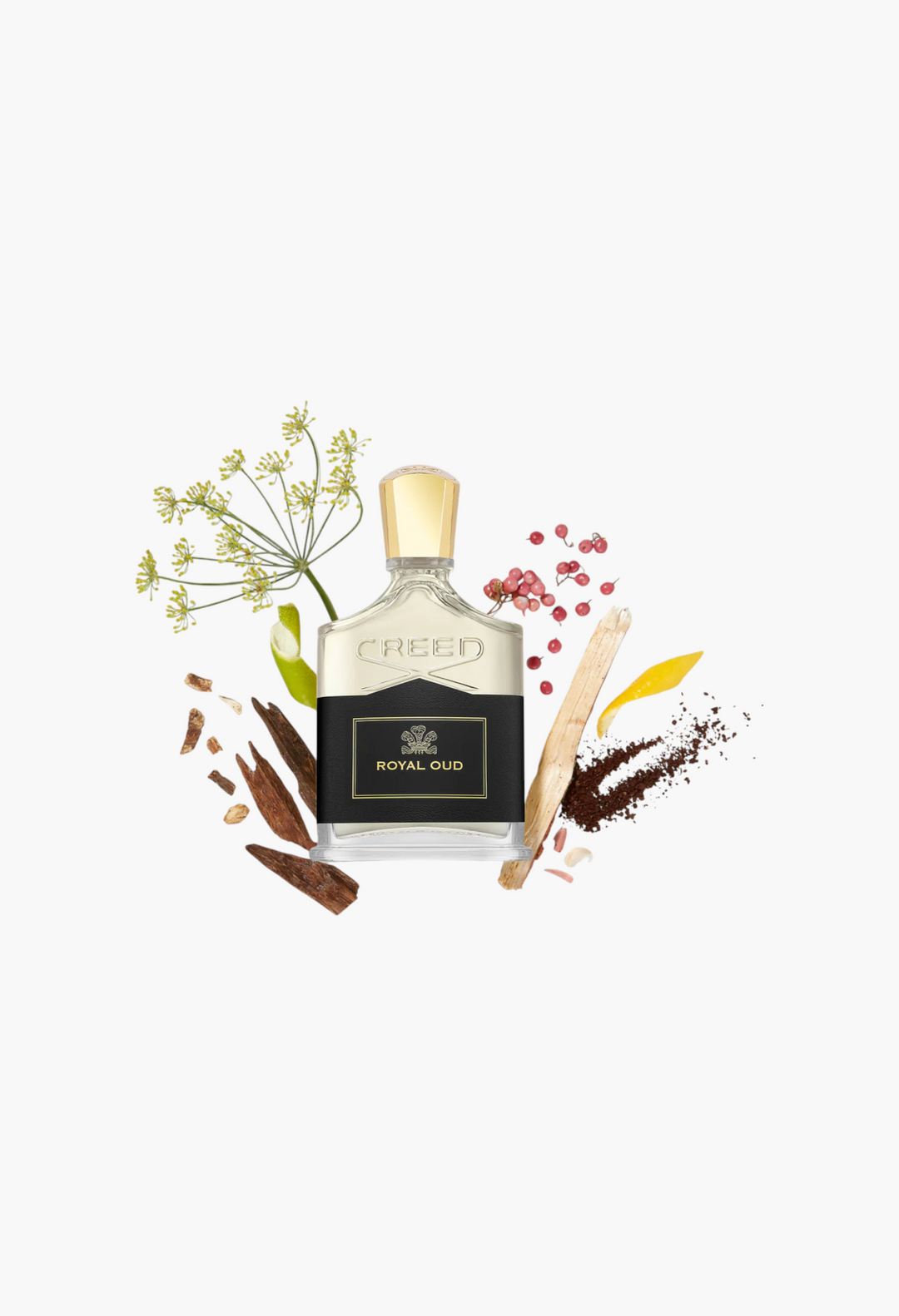 Royal Oud Cologne - GLAM MODA