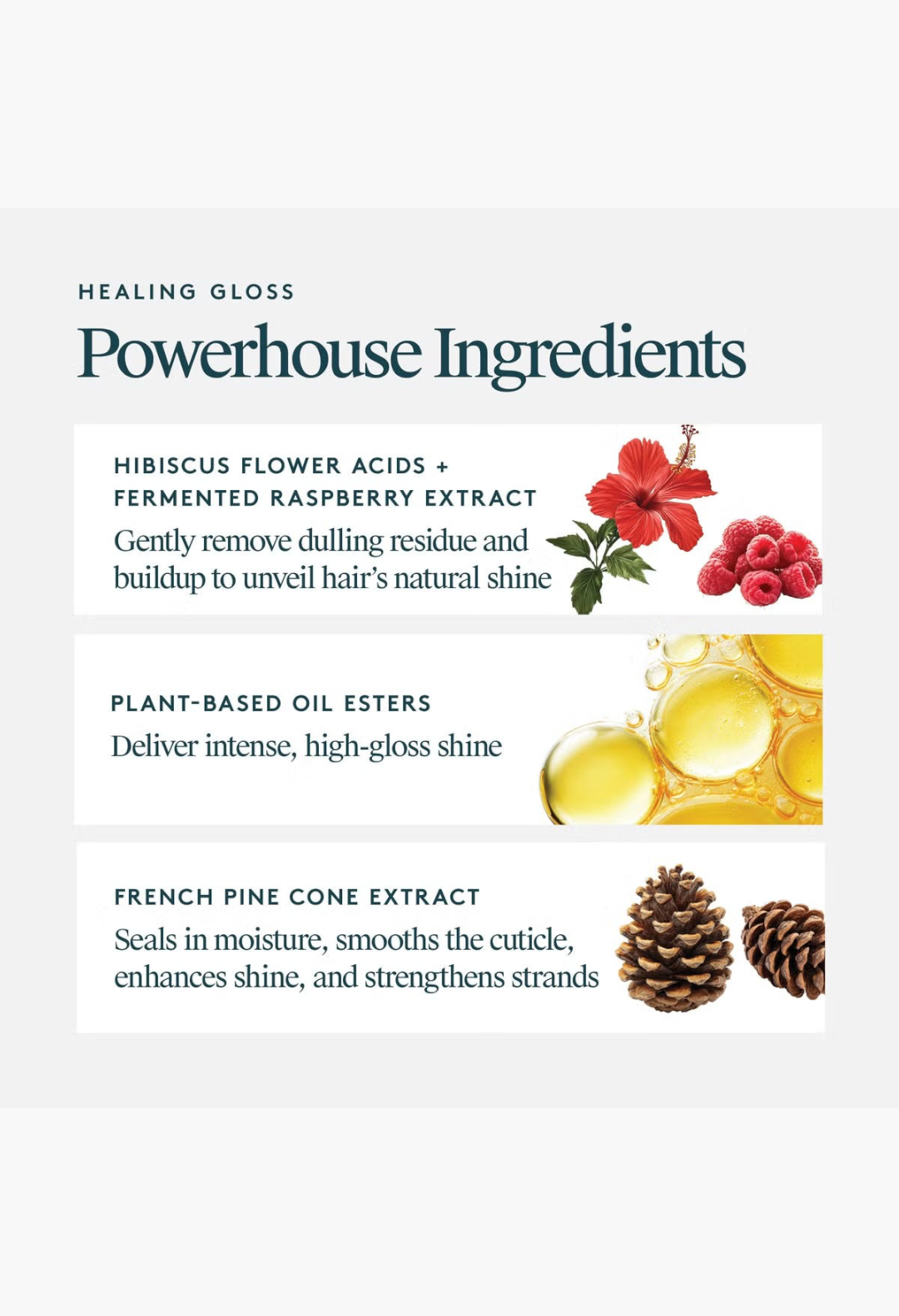 GLAM MODA Virtue Healing Gloss ingredient infographic showing hibiscus, raspberries, oil, and pine cones.