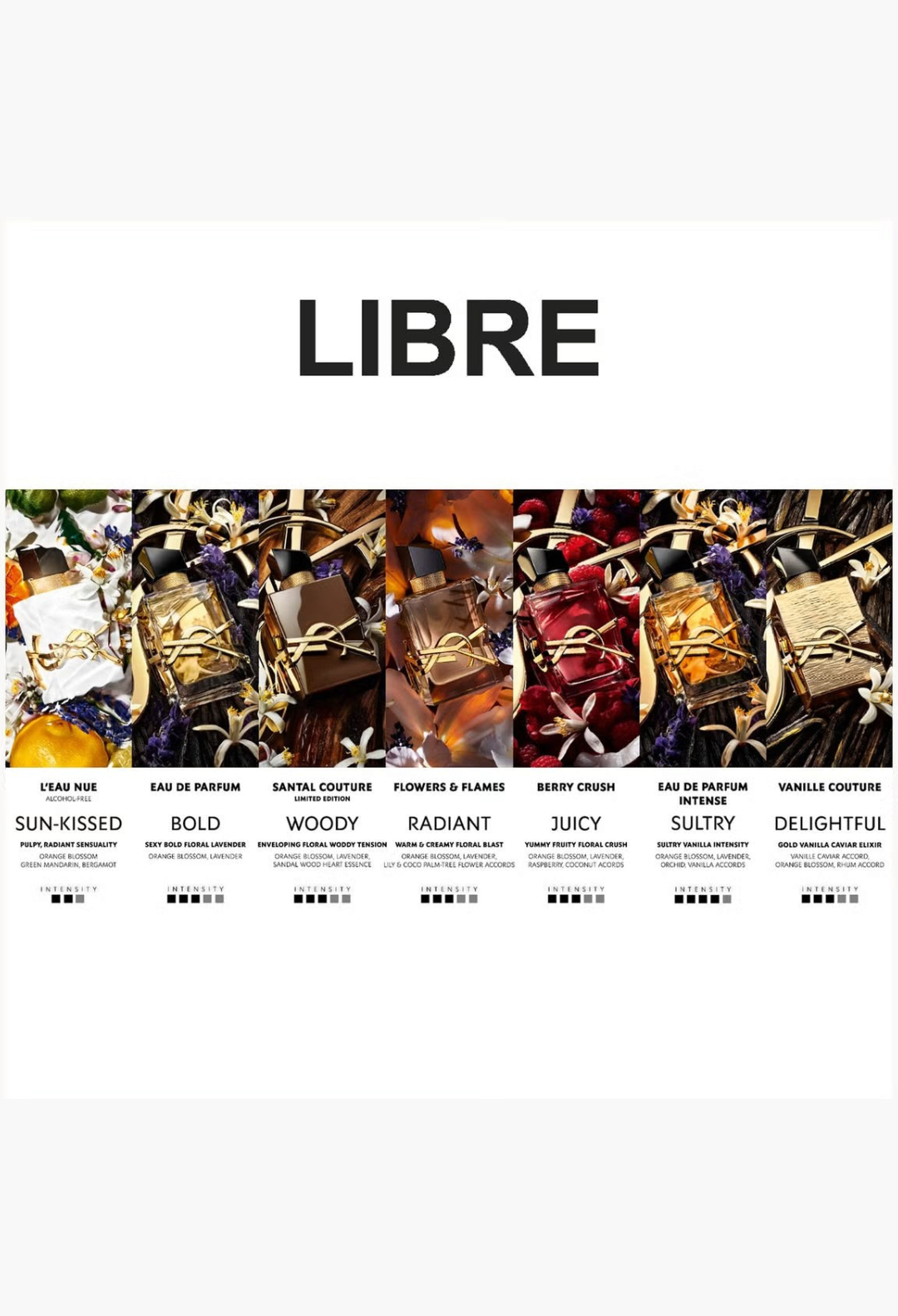 GLAM MODA collection of YSL Libre Eau De Parfum bottles featuring various colours and floral scent ingredients
