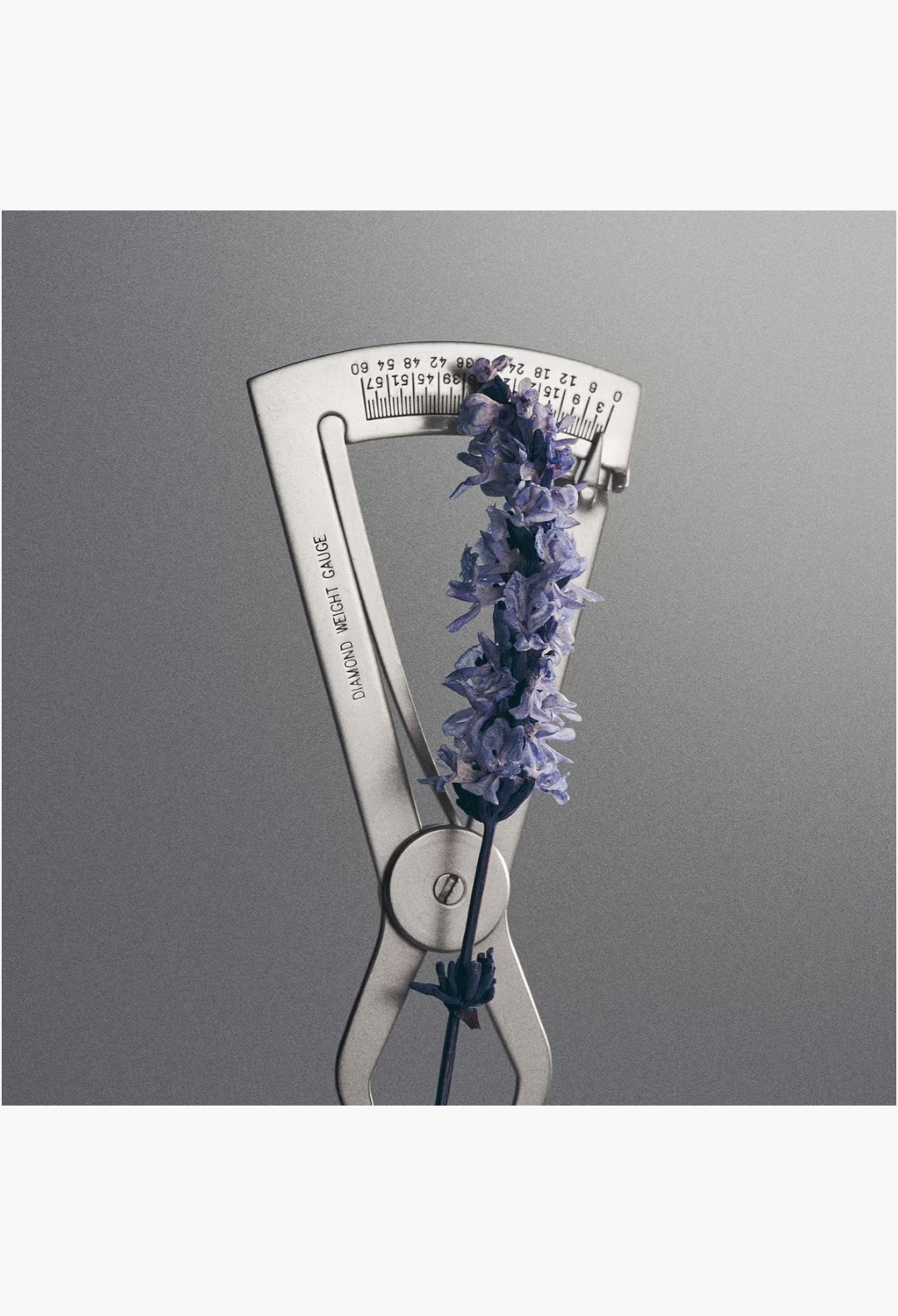 GLAM MODA Creed Iris Debonair fragrance concept with a sprig of lavender held in a vintage metal diamond weight gauge