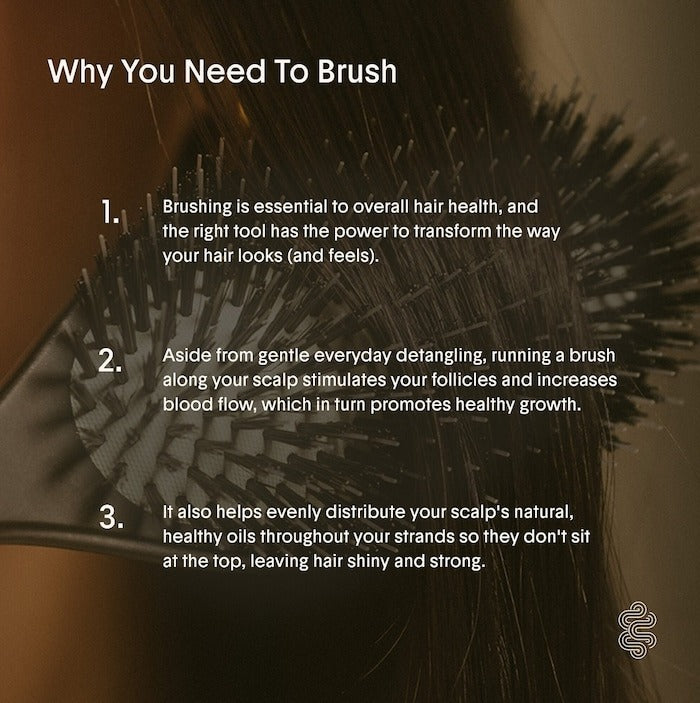 The Dual-Bristle Boar Hair Brush No. 001 for All Hair Textures - GLAM MODA